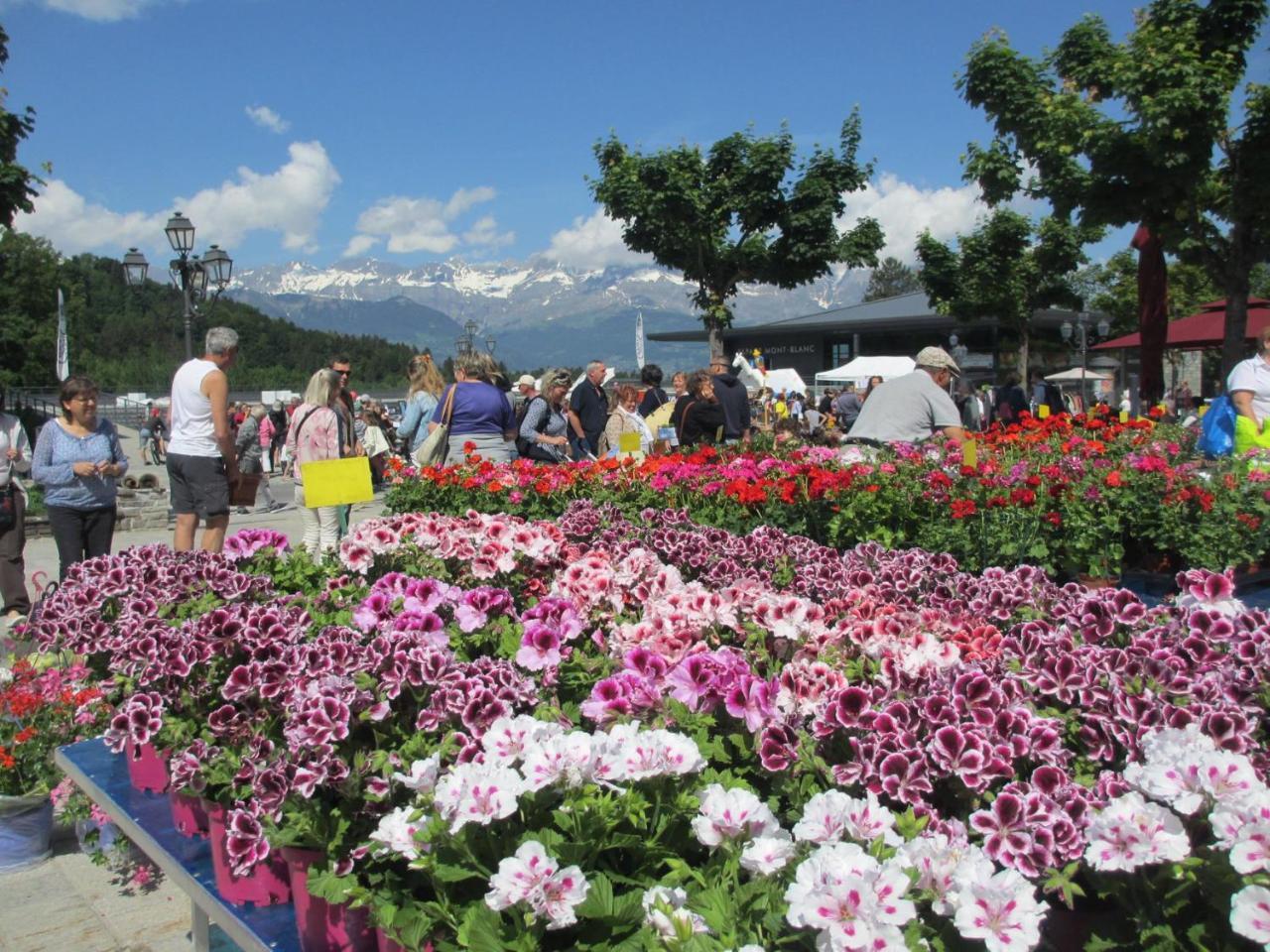Appartamento Le Grand Panorama No11 Saint-Gervais-les-Bains Esterno foto